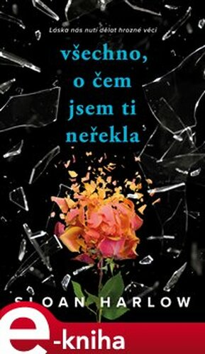 Všechno, o čem jsem ti neřekla