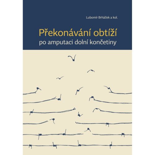 Překonávání obtíží po amputaci dolní končetiny