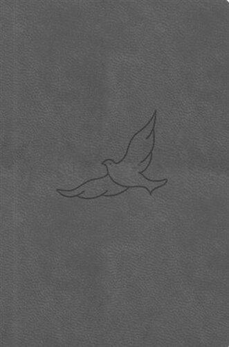 Bible21 - kapesní