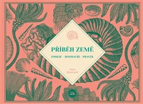 Příběh Země - Aina Bestardová