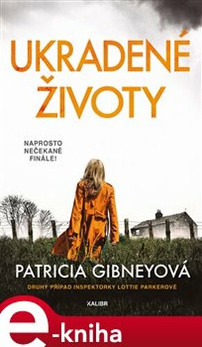Ukradené životy - Patricia Gibneyová