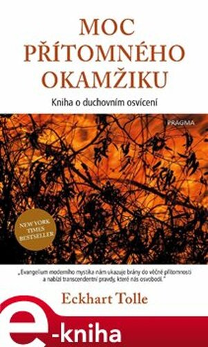 Moc přítomného okamžiku