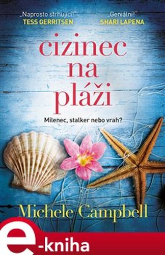 Cizinec na pláži - Michele Campbell