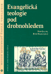 Evangelická teologie pod droblonohledem - Petr Macek, Petr Gallus