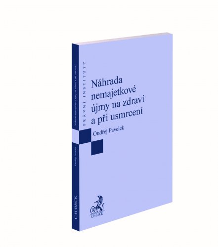 Náhrada nemajetkové újmy na zdraví a při usmrcení