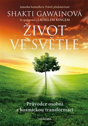 Život ve světle - Laurel King, Shakti Gawain