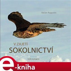 V zajetí sokolnictví - Václav Augustin
