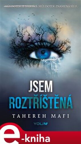 Jsem roztříštěná