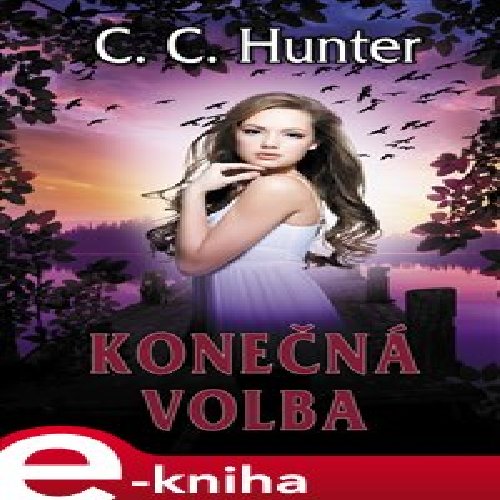 Konečná volba