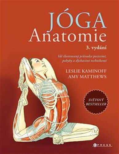 Jóga – anatomie