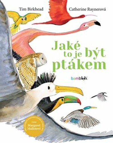 Jaké to je být ptákem - Tim Birkhead, Catherine Raynerová