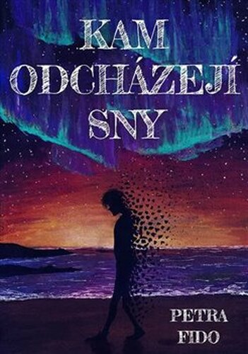 Kam odcházejí sny - Petra Fido
