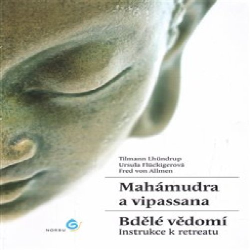 Mahámudra a vipassana - Bdělé vědomí