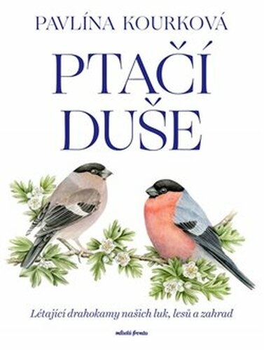 Ptačí duše