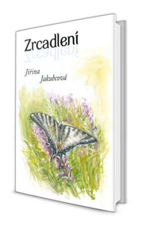 Zrcadlení