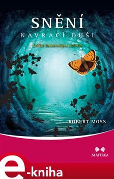 Snění navrací duši - Robert Moss