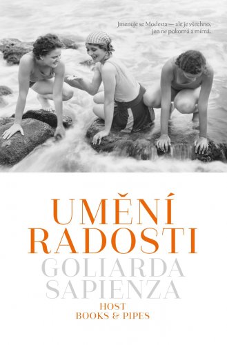 Umění radosti