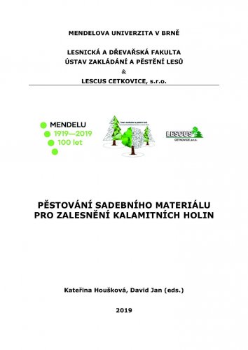 Pěstování sadebního materiálu pro zalesnění kalamitních holin