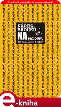 Nářez brouků na palouku - Bohuslav Vaněk-Úvalský