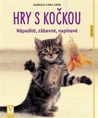 Hry s kočkou