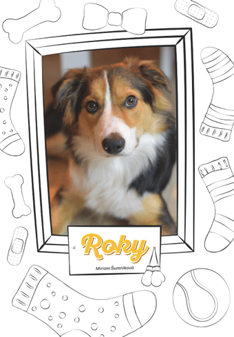 Roky