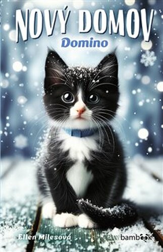 Nový domov – Domino