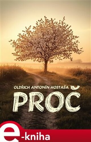 Proč