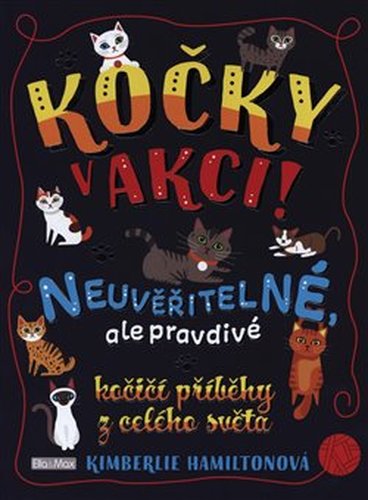 Kočky v akci!
