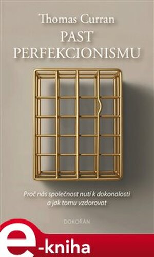 Past perfekcionismu