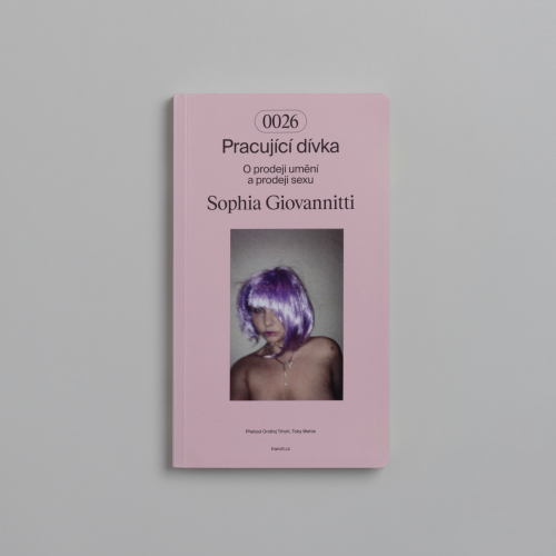 Pracující dívka