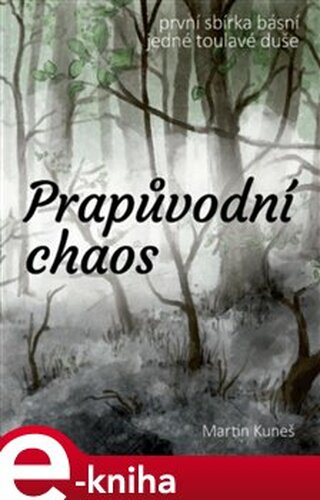 Prapůvodní chaos