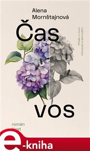 Čas vos