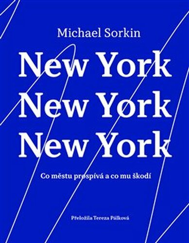 New York, New York, New York - Michael Sorkin