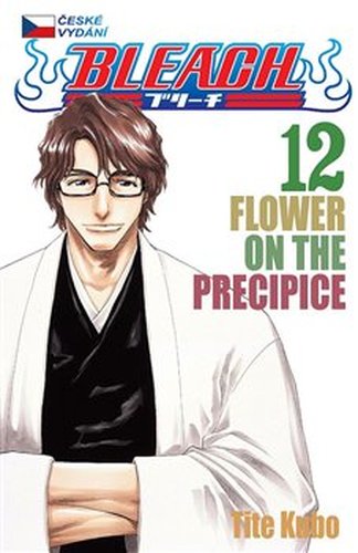 Bleach 12: Flower on the Precipice - Tite Kubo