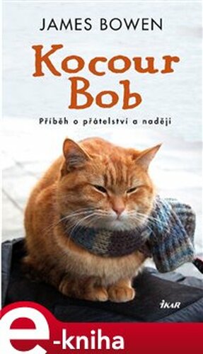 Kocour Bob