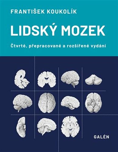 Lidský mozek