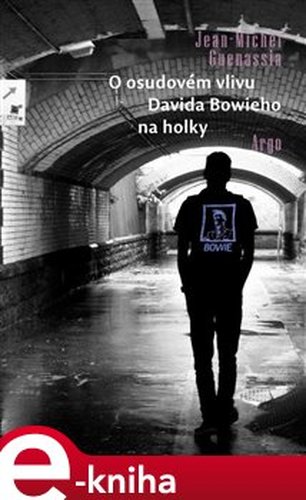 O osudovém vlivu Davida Bowieho na holky - Jean-Michel Guenassia