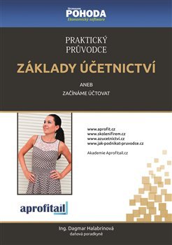 Praktický průvodce základy účetnictví - Dagmar Halabrinová