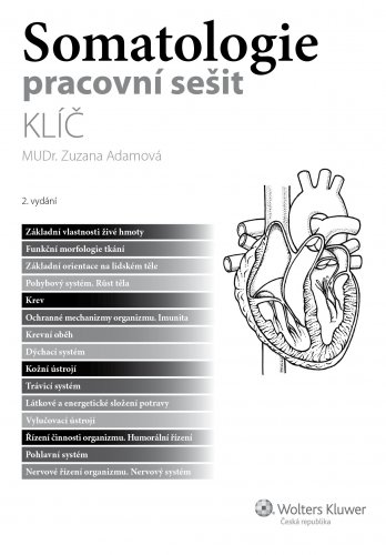 Somatologie. Pracovní sešit - klíč