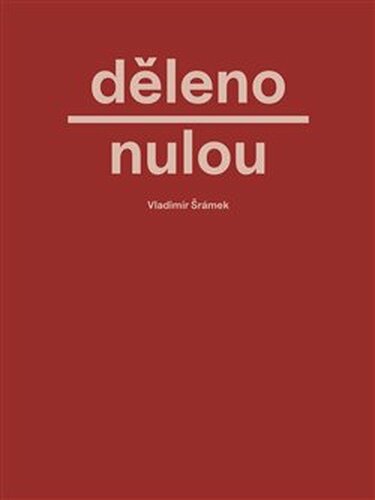 Děleno nulou - Vladimír Šrámek