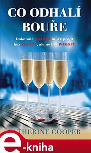 Co odhalí bouře - Catherine Cooper