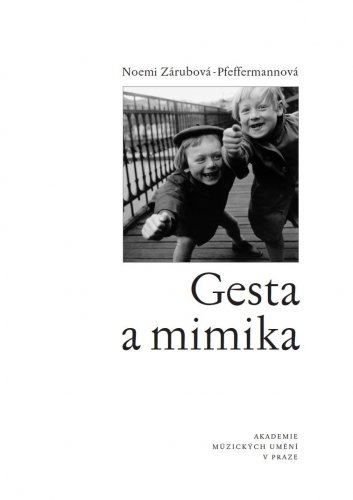 Gesta a mimika