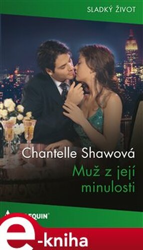 Muž z její minulosti