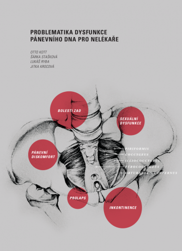 Problematika dysfunkce pánevního dna pro nelékaře