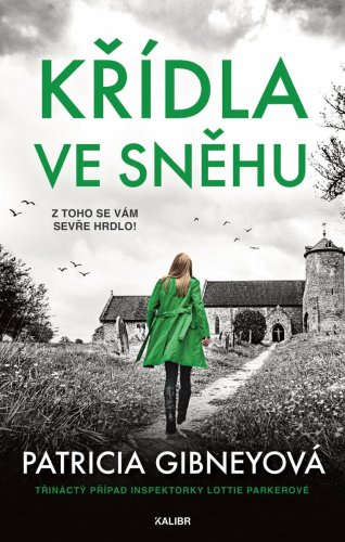 Křídla ve sněhu