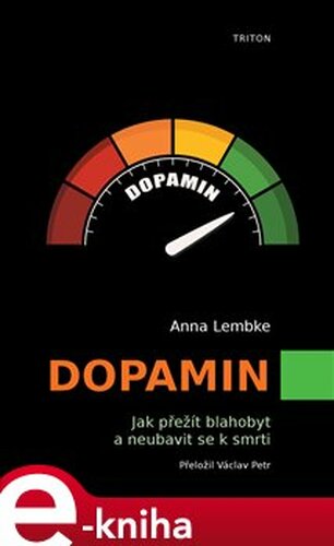 Dopamin - Anna Lembke