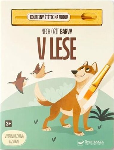 Nech ožít barvy V lese