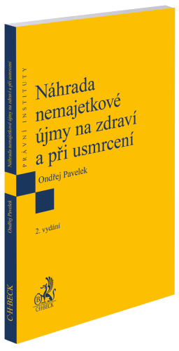 Náhrada nemajetkové újmy na zdraví a při usmrcení