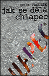 Jak se dělá chlapec - Ludvík Vaculík