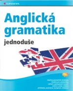 Anglická gramatika jednoduše - John Stevens